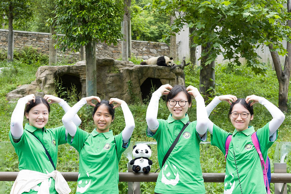 暑期文化考察團 -- 探索成都及臥龍國家級自然保護區